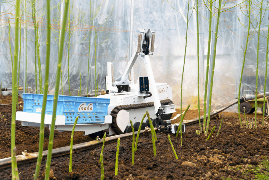 長期インターン Inahoで Ai 農業 ロボット の働き方を学ぶ インターン体験記 ロクヨリ